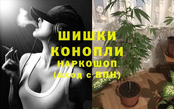 соль ск Нягань