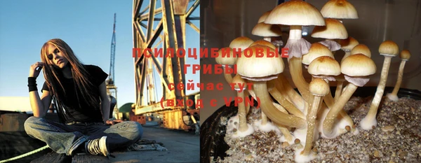 соль ск Нягань