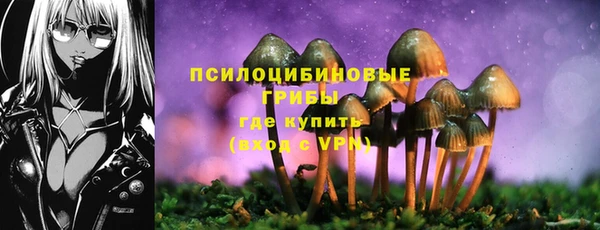 соль ск Нягань